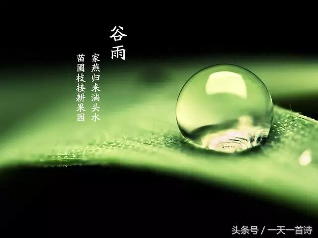 有关谷雨的来历和风俗,谷雨的来历和习俗教案