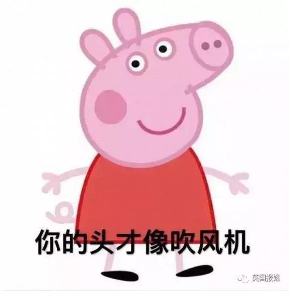 小猪佩奇身上纹社会人,小猪佩奇身上纹出自谁之口