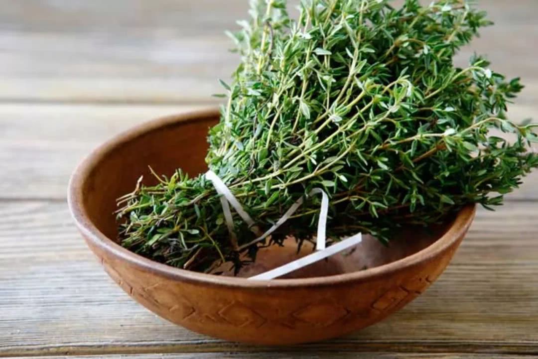 阳台盆栽香料,在家种什么香料好吃又实惠