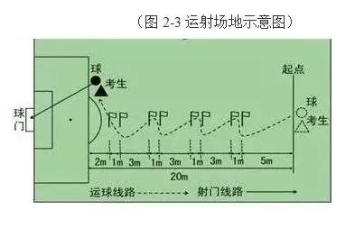 东莞中考各学校招收特长生项目,2024年东莞体育特长生政策