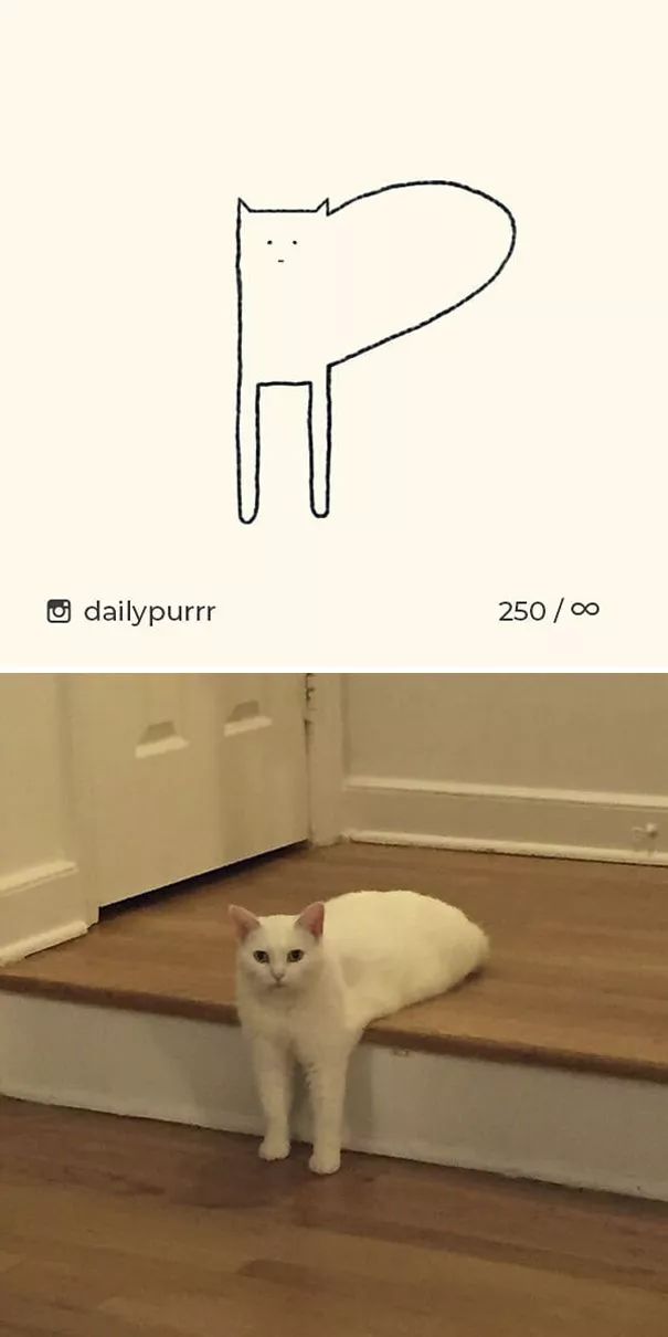 关于猫的肖像画,猫各种形态的影子画