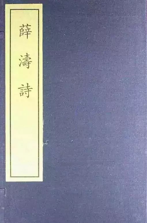 薛涛的书,薛涛文学作品