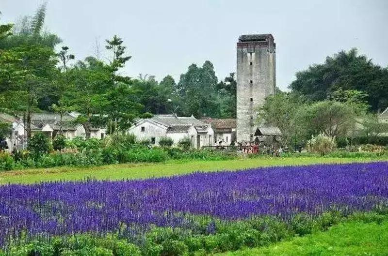 深圳必看的免费景点,玩转深圳十大免费景点