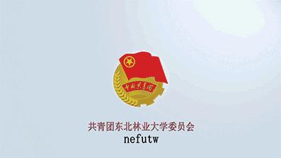 内蒙古农业大学足球队夺冠,东北林大足球队冠军