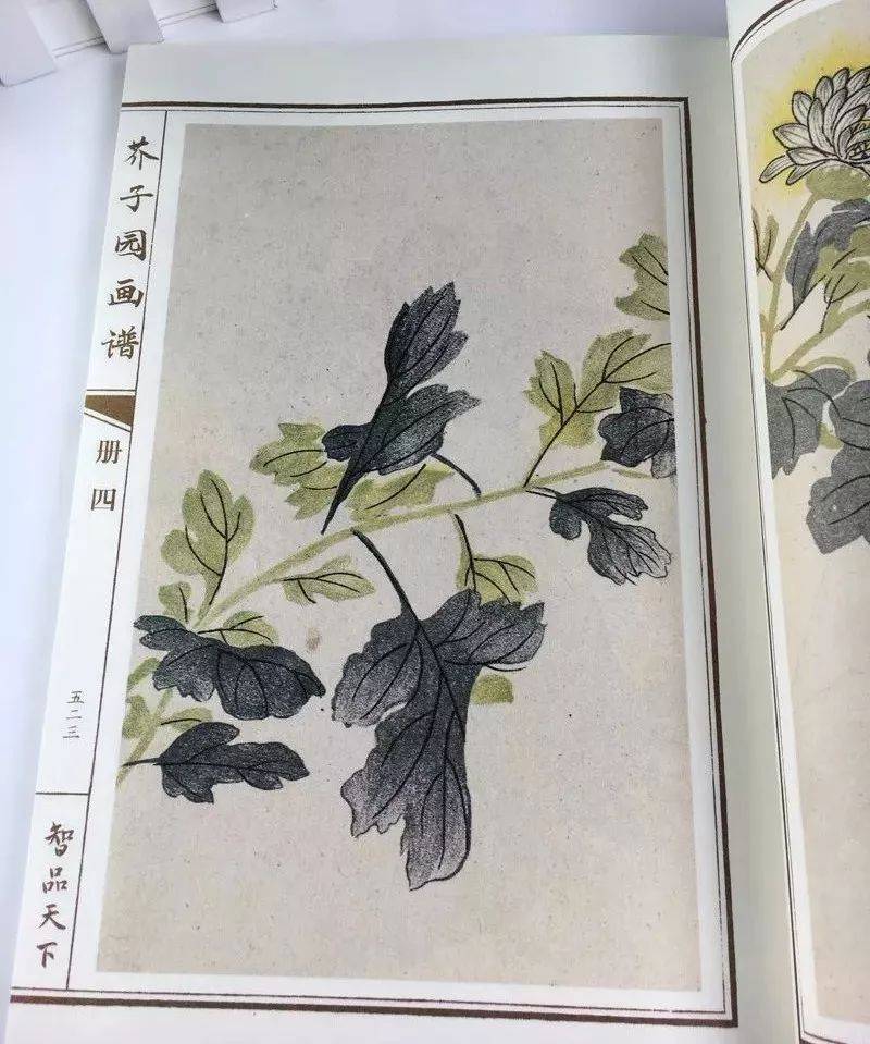 美女出浴，遭两个秃顶老头偷看！