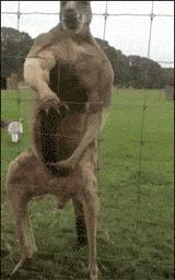 澳大利亚卡希尔世界杯,澳大利亚国脚卡希尔刷新纪录