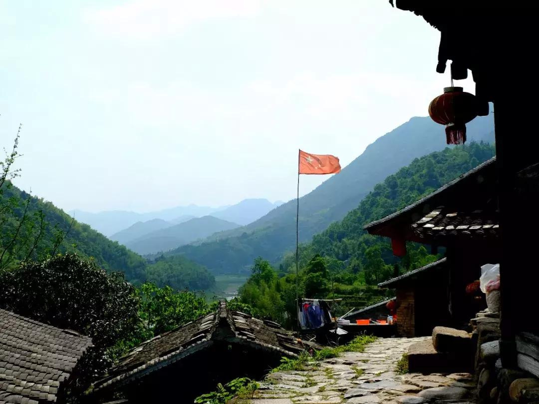 提到浙江会想起什么,提到浙江你最先想到什么