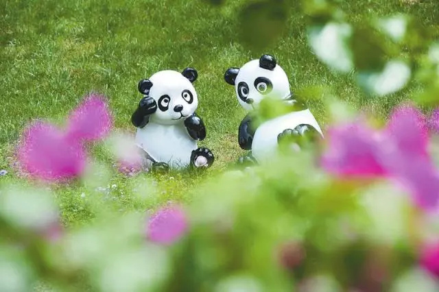 11个看点炫花眼丨国手领衔女篮不让须眉，成都“兄弟伙”要雄起！