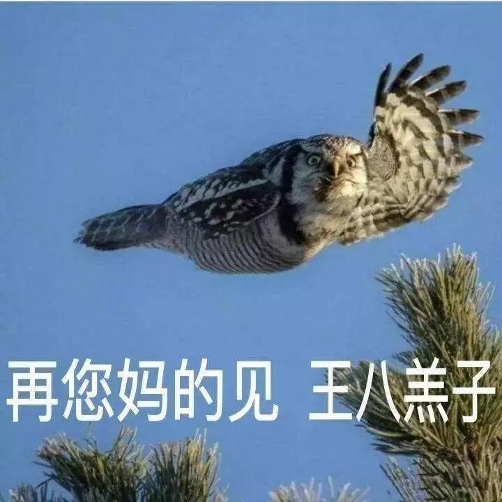 富人发正品，穷人发A货，大数据售假是个什么鬼？