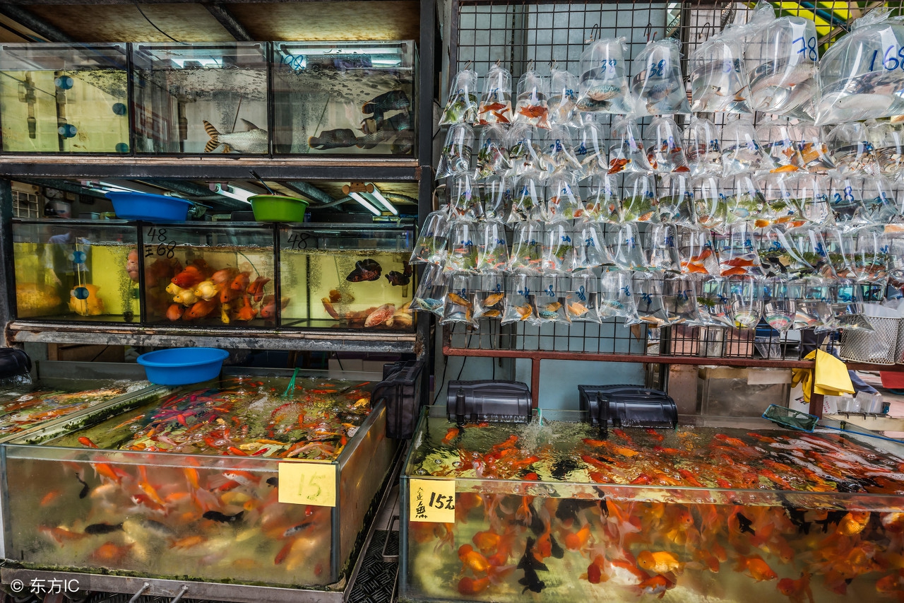 香港最著名的十条街,香港十大最美街道排名