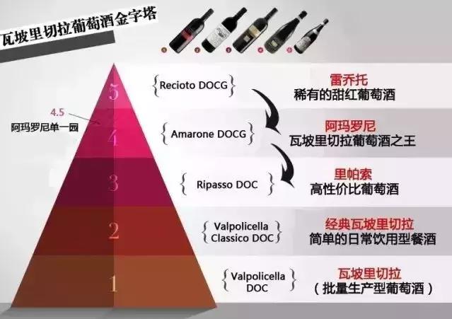 意大利阿玛罗尼五大顶级酒庄,意大利阿玛罗尼干红葡萄酒价格