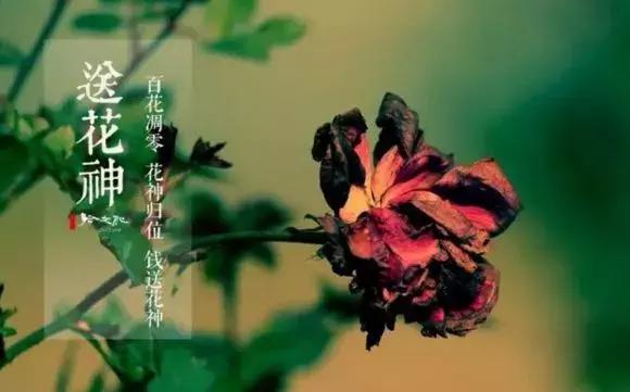 芒种节气什么意思有什么讲求,芒种是指哪个节气