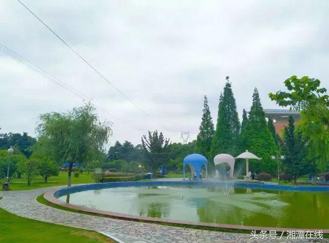 湘大采访,湘大不说再见