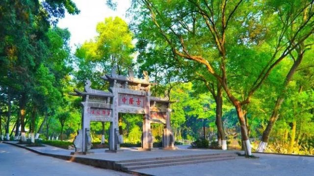 父亲节的特别旅行,父亲节带父亲一起出游