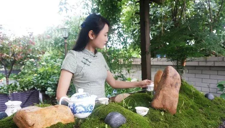 香香的花园自拍杆,香香的花围墙推荐