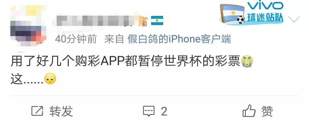 中国体育彩票世界杯竞猜如何竞猜,世界杯竞猜彩票在体彩显示停售