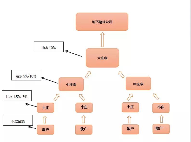 赌球的科普,科普网赌不为人知的内幕