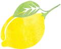 鍖楁捣绔ラ瀷,鍖楁捣甯傜殑绔ラ瀷