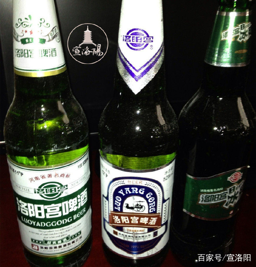 洛阳人都知道的“夺命11度”，自己却被夺了命！