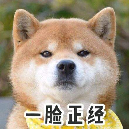 万万没想到淘宝,万万没想到表情包