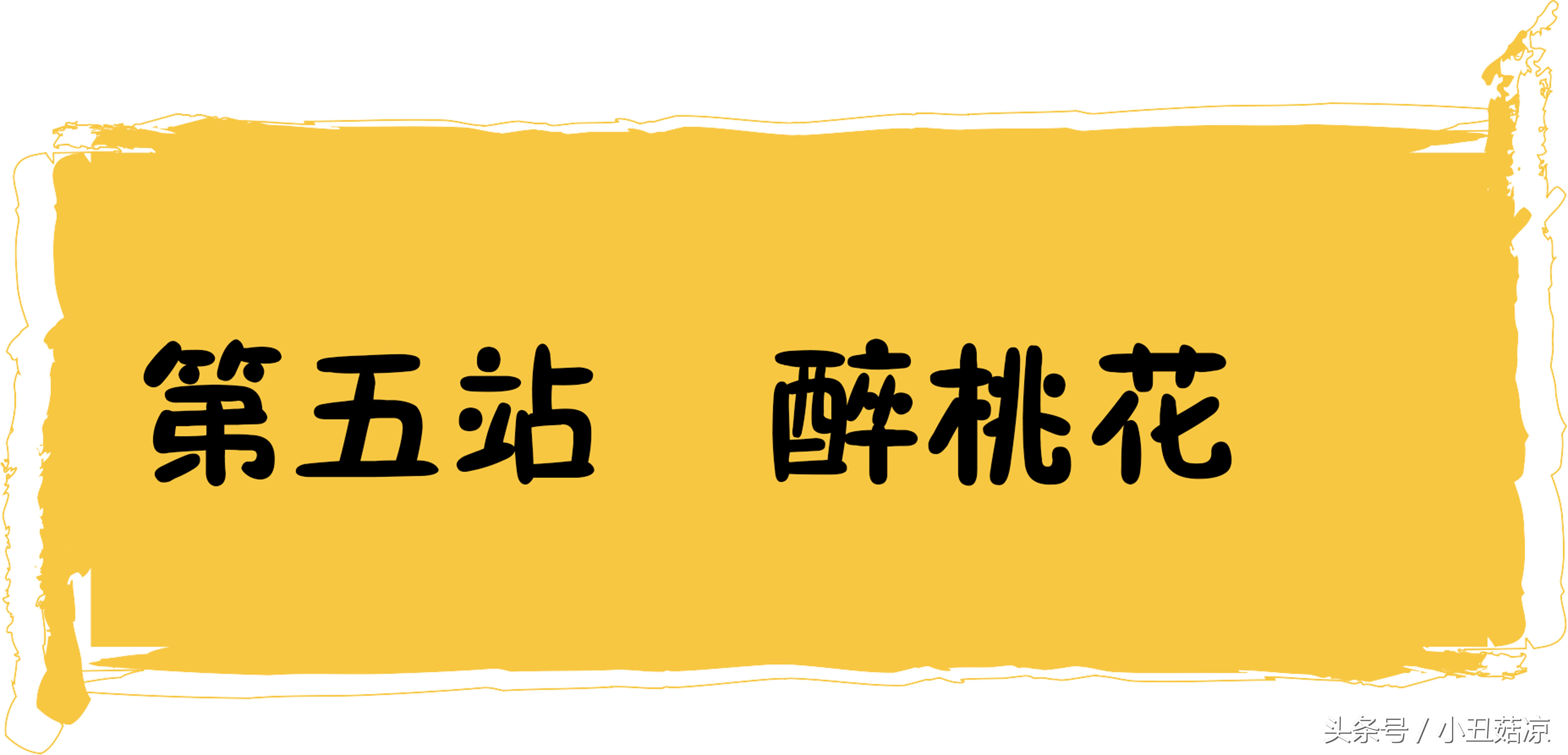 世界杯看球最佳位置,世界杯最强城市
