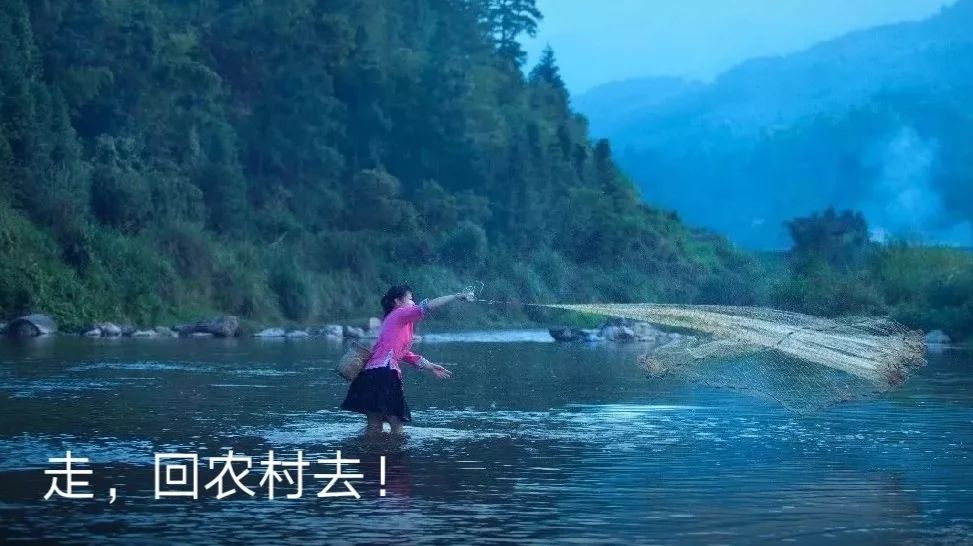 零差评地走出影院，生活依然写满了差评