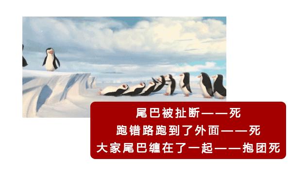 你不是最快的那颗精子，却是好运最好的！
