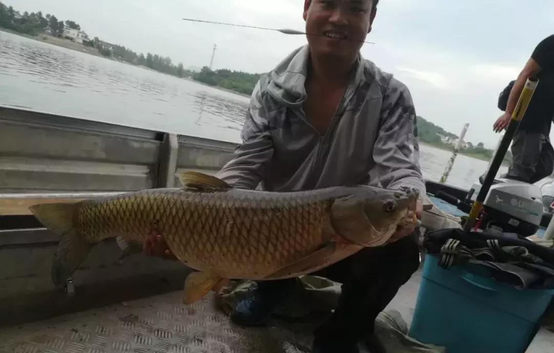 合肥周边避暑好去处,合肥周边夏天避暑最佳旅游地