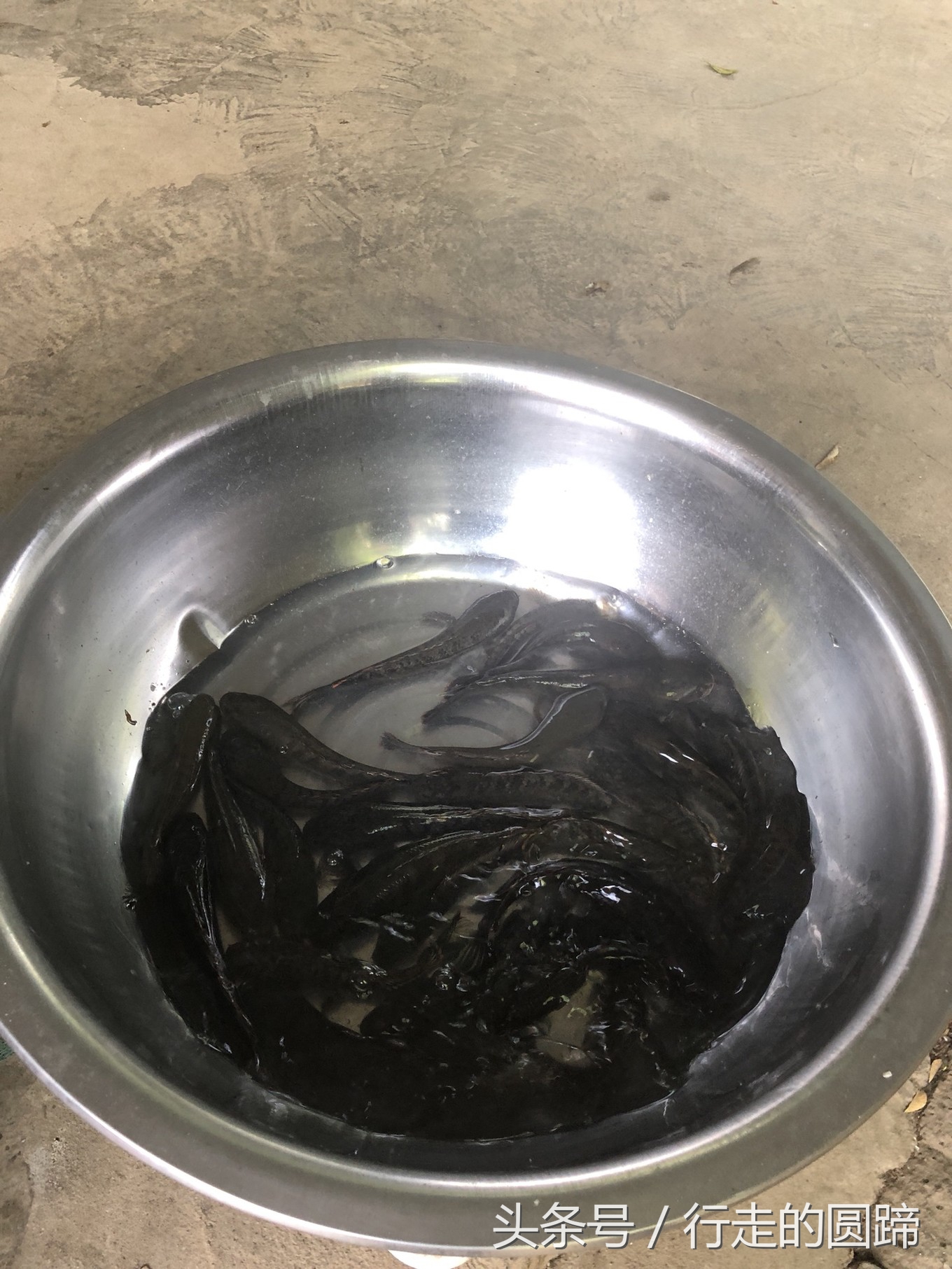 这个被誉为中国10大古镇之首的小镇，到底美在哪里？