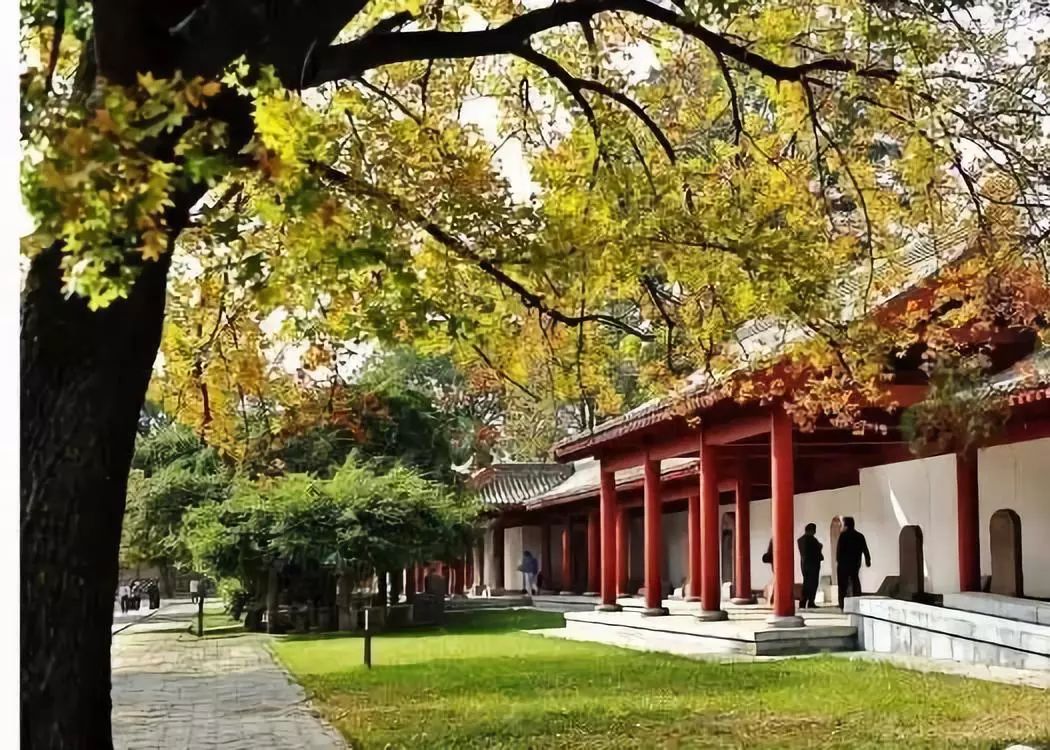 溽暑蒸人什么意思,溽暑蒸人