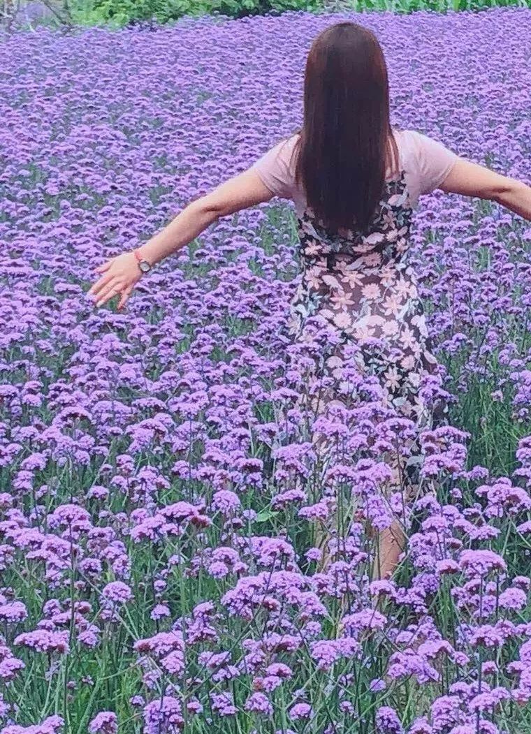 溽暑蒸人什么意思,溽暑蒸人