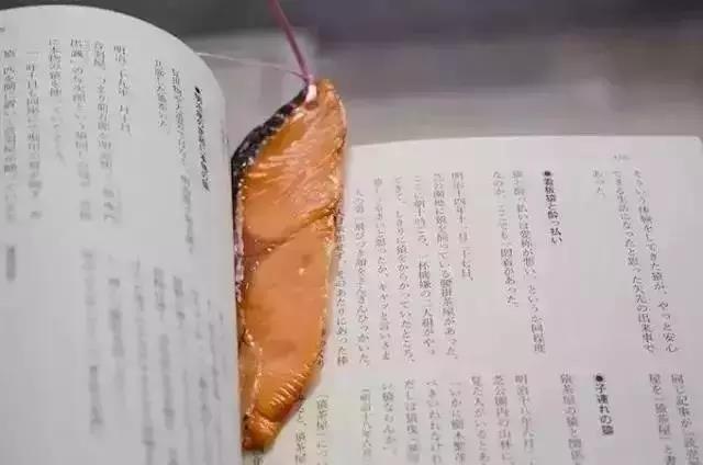 日本为什么这么少假货,日本为什么这么少有假货