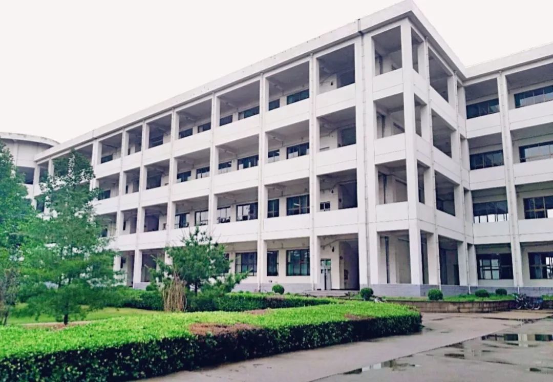 萌新攻略选修课,萌新攻略实用