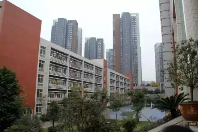 重庆这些“土豪”学校，从幼儿园开始就读不起了……