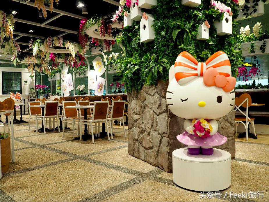 最新海岛打卡之旅,自由行可去的小众海岛