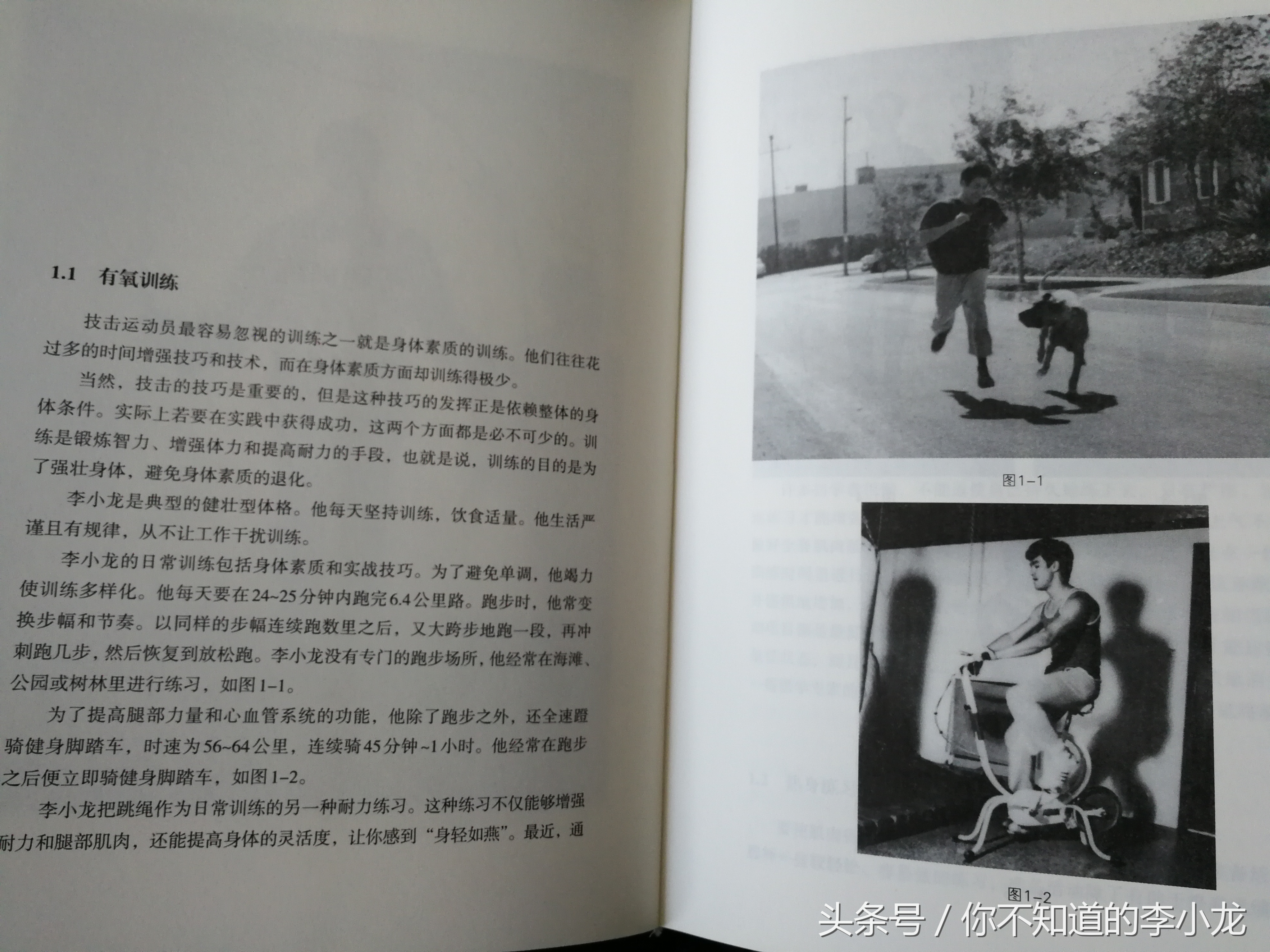 李小龙技击法是截拳道吗,李小龙传奇李小龙截拳道多少集