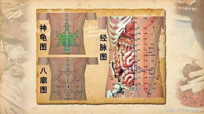 针灸按摩全息图（收藏版）
