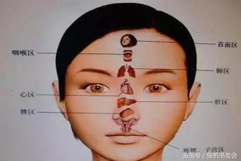 针灸按摩全息图（收藏版）