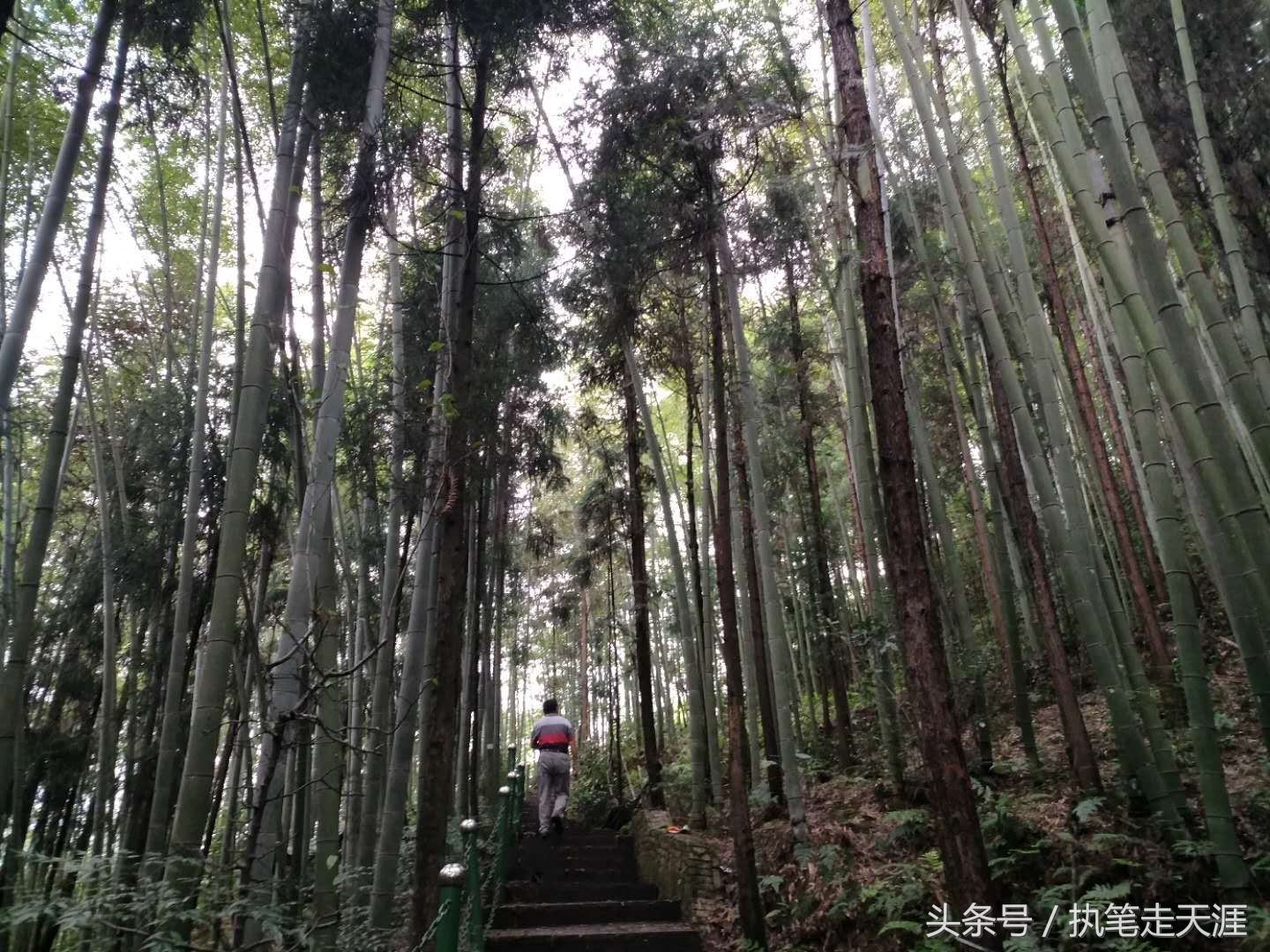 曾经成都人首选的度假小镇大邑花水湾，现在怎么样了？