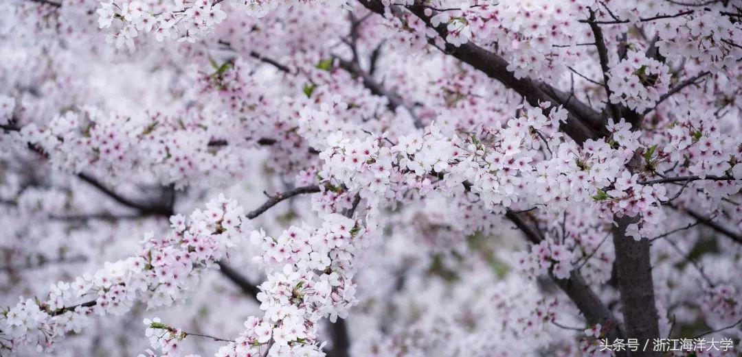 新生指南学习篇,新生指南合集