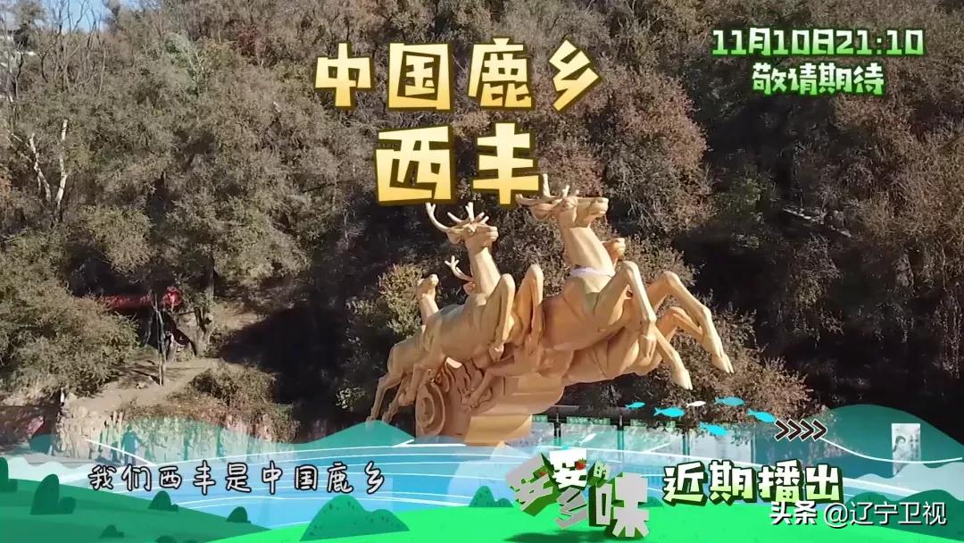 雪天吃东西,雪天吃的食物