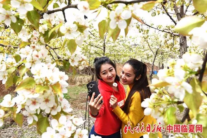 奋进之歌响彻美丽临夏