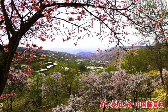 奋进之歌响彻美丽临夏