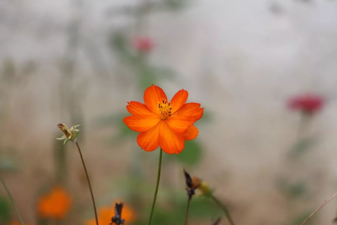 变得一无所有的人生感悟,当你一无所有的时候的感悟