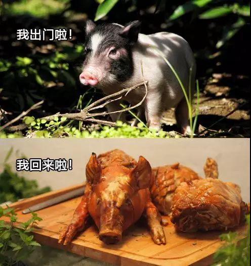 致敬高温“烤”验下的劳动者：阳光很烈，你们很美！