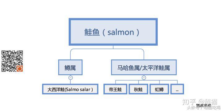 鲑鱼都没吃过，你凭什么维护“三文鱼”的利益？