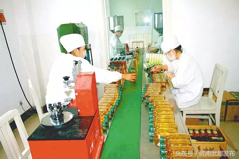 黄金极致养护橄榄油功效,液体黄金橄榄油的101种用法
