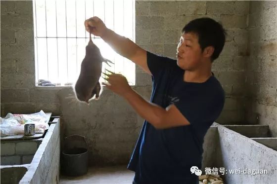 看致富经创业案例的都是什么傻子,看致富经后的想法