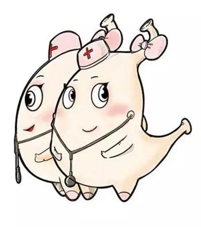 「卫生与健康」胃肠道疾病的治与防（下）
