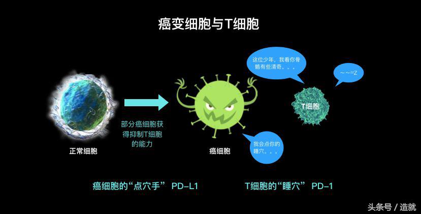 7种常见癌症的早期发现和预防,癌症是可以预防的癌症真相大揭秘